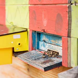 Vinska klet Kozlevčar