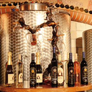 Vinska klet Kozlevčar