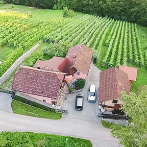 vinska klet iz zraka