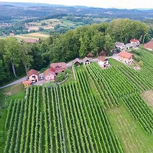 Vinska klet Kozlevčar