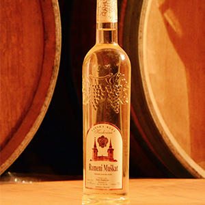 Vinska klet Kozlevčar