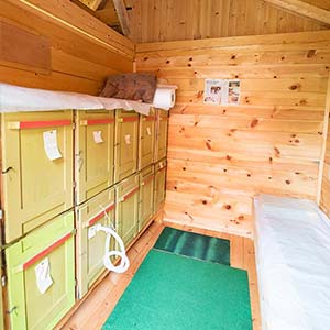 API terapije Kozlevčar